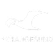 FK Haugesund