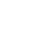 UAE Pro League