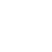 Portuguese Primeira Liga