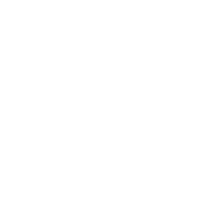 Czech First League