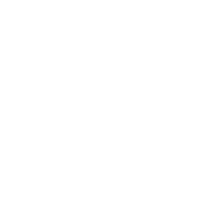 Saudi Pro League