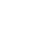 Norwegian Eliteserien