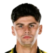 Max Arfsten