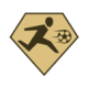 Rapid