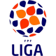 Portugese Campeonato Nacional Feminino